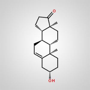 7-Keto-Dehydroepiandrosterone(7-Keto-DHEA) CAS 53-43-0